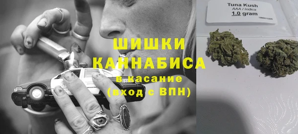 спайс Ельня