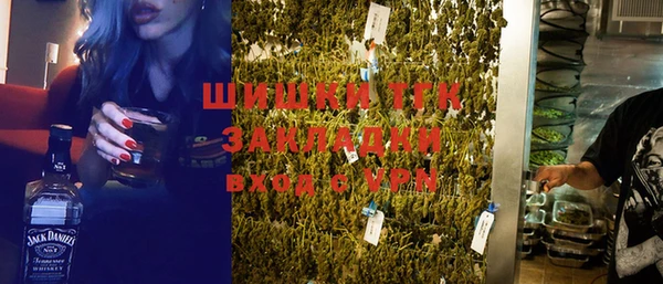 шишки Елизово