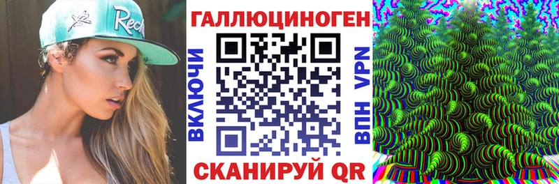 Купить  Пролетарск  Псилоцибиновые грибы Cubensis 